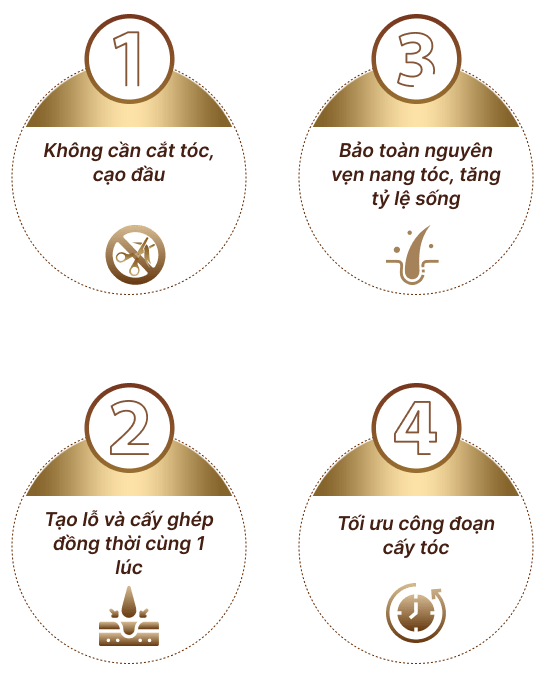 Cấy tóc việt nam