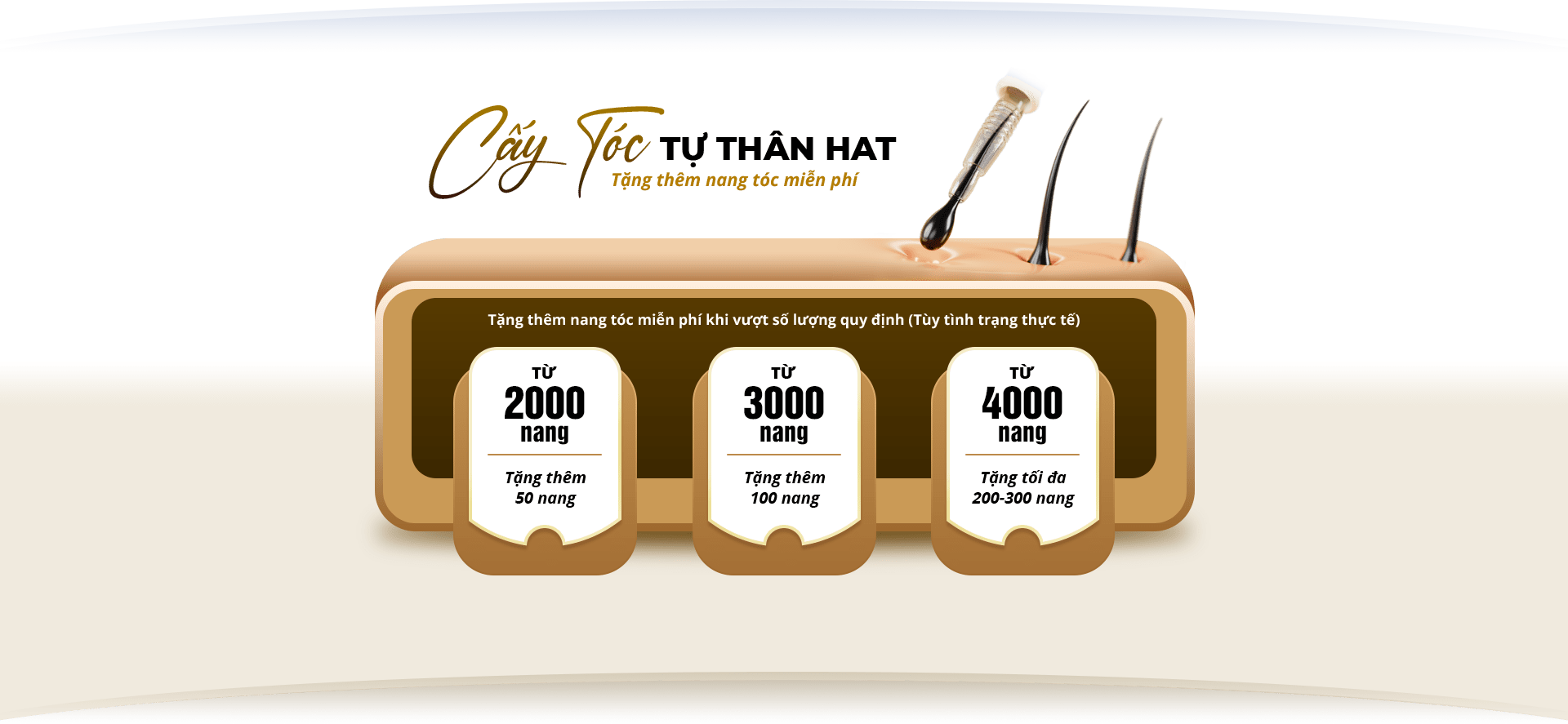 cấy ghép tóc y học hà nội