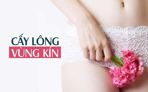 [Cấy lông vùng kín ở đâu HCM] hiệu quả – an toàn