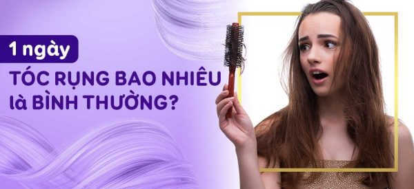 Một ngày rụng bao nhiêu tóc là bình thường? Giải đáp từ chuyên gia